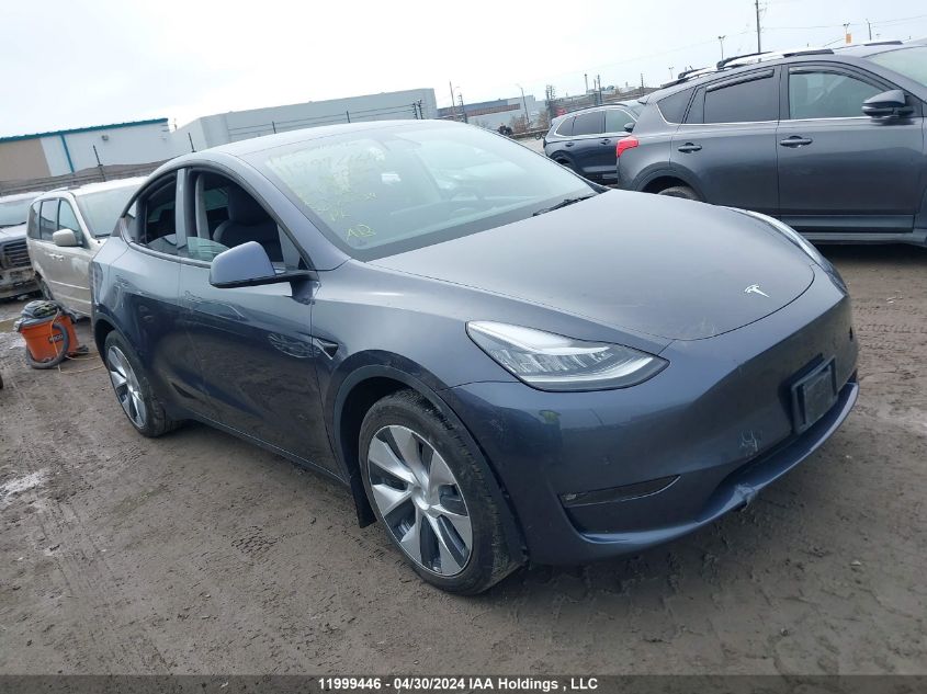 2021 Tesla Model Y VIN: 5YJYGDEE2MF199439 Lot: 11999446