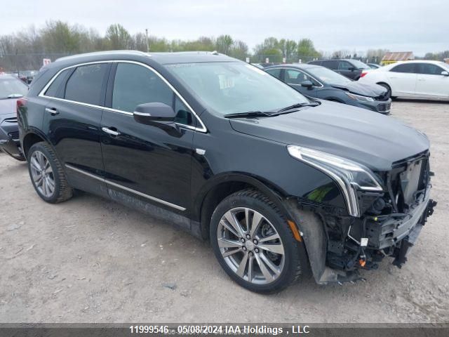 2023 Cadillac Xt5 VIN: 1GYKNDRS6PZ217767 Lot: 11999546