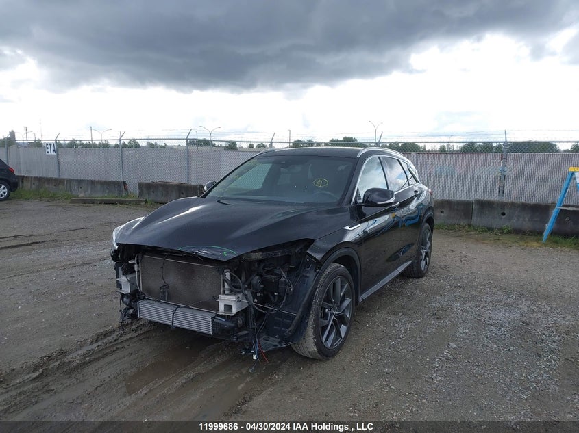 2019 Infiniti Qx50 VIN: 3PCAJ5M37KF109563 Lot: 11999686