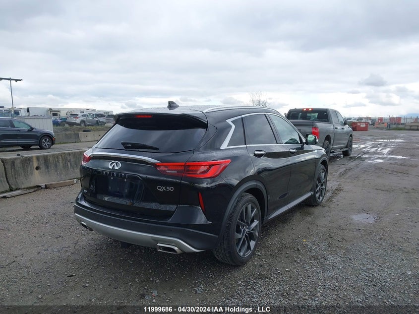 2019 Infiniti Qx50 VIN: 3PCAJ5M37KF109563 Lot: 11999686