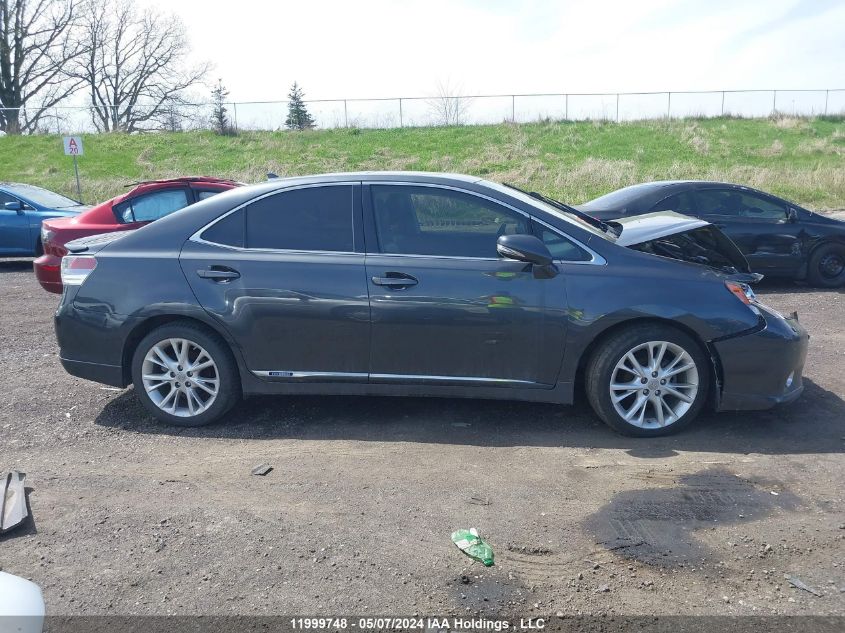 2010 Lexus Hs 250H VIN: JTHBB1BA2A2034993 Lot: 11999748