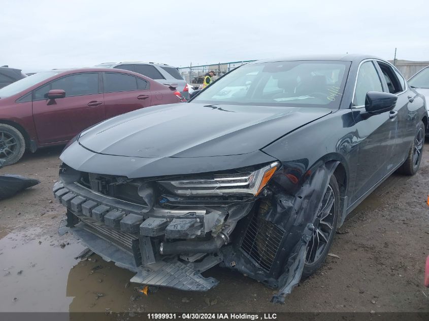 2021 Acura Tlx VIN: 19UUB6F33MA802320 Lot: 11999931