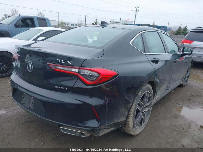 2021 Acura Tlx VIN: 19UUB6F33MA802320 Lot: 11999931