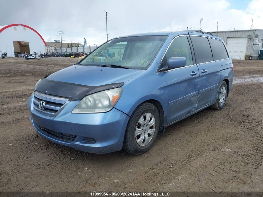 2007 Honda Odyssey VIN: 5FNRL38497B504615 Lot: 11999956