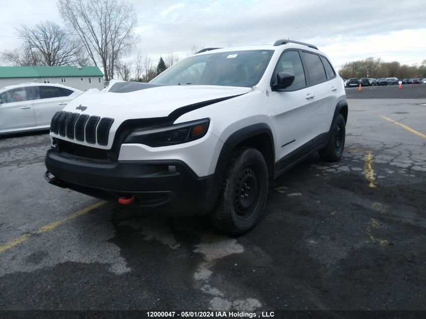 2021 Jeep Cherokee Trailhawk Elite VIN: 1C4PJMBX8MD174989 Lot: 12000047