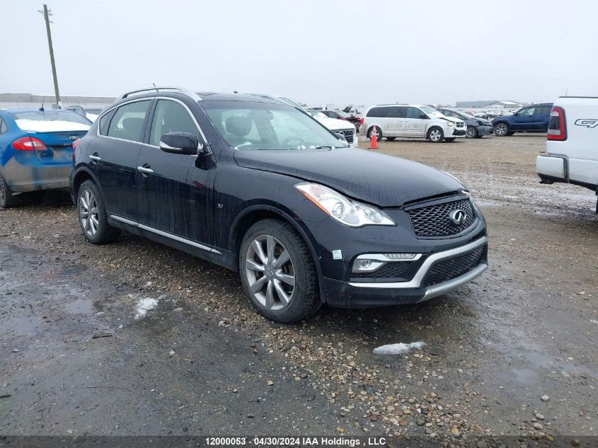 2017 Infiniti Qx50 VIN: JN1BJ0RRXHM410481 Lot: 12000053