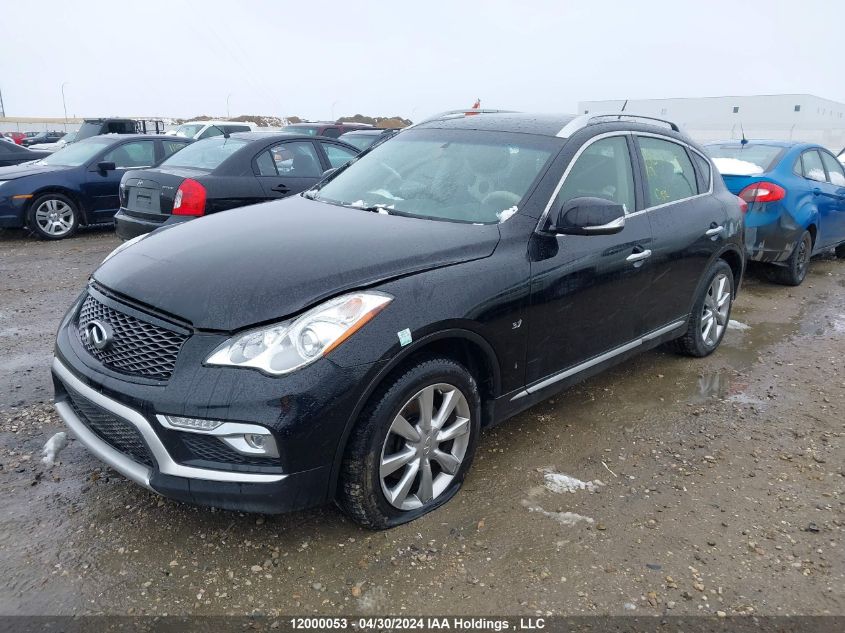 2017 Infiniti Qx50 VIN: JN1BJ0RRXHM410481 Lot: 12000053