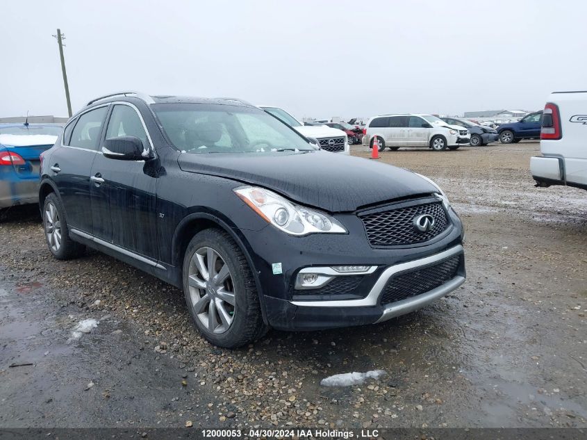 2017 Infiniti Qx50 VIN: JN1BJ0RRXHM410481 Lot: 12000053