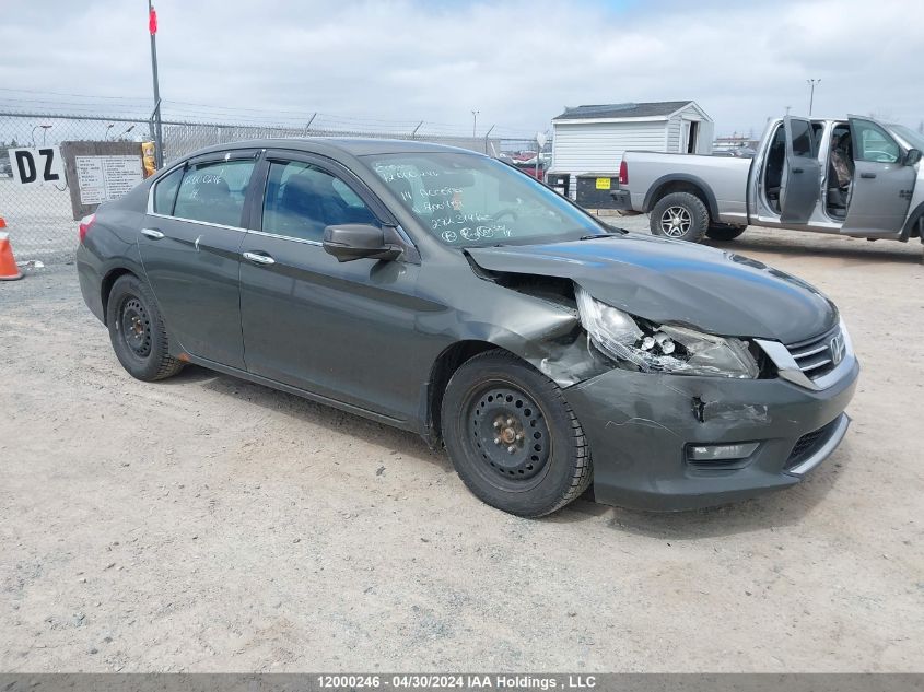 2014 Honda Accord Sedan VIN: 1HGCR2F91EA800409 Lot: 12000246