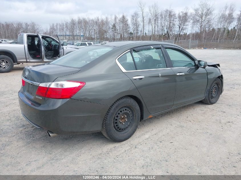 2014 Honda Accord Sedan VIN: 1HGCR2F91EA800409 Lot: 12000246