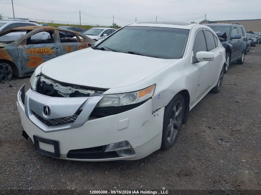 2010 Acura Tl VIN: 19UUA9F59AA801819 Lot: 12000300