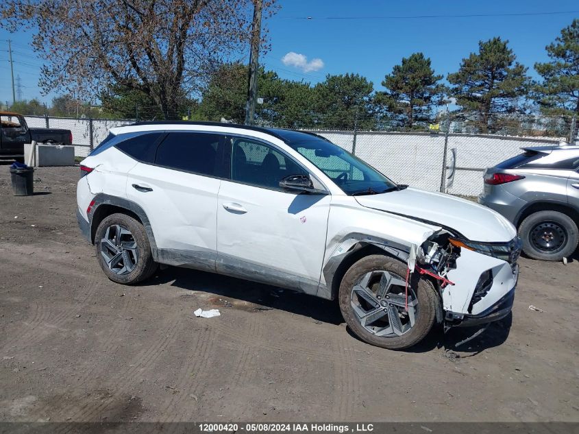 2024 Hyundai Tucson Ultimate Awd VIN: KM8JCCD1XRU177026 Lot: 12000420