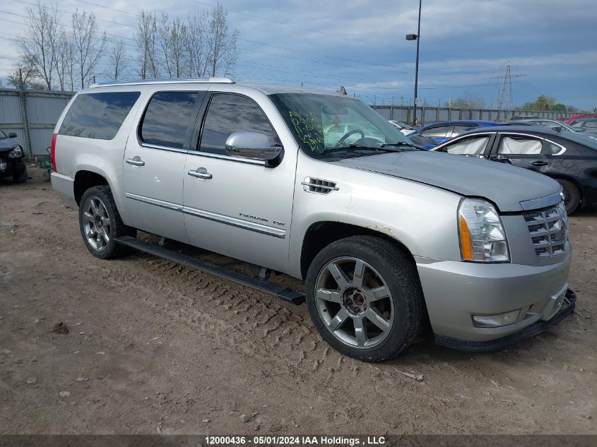 2011 Cadillac Escalade Esv VIN: 1GYS4JEF6BR126856 Lot: 12000436