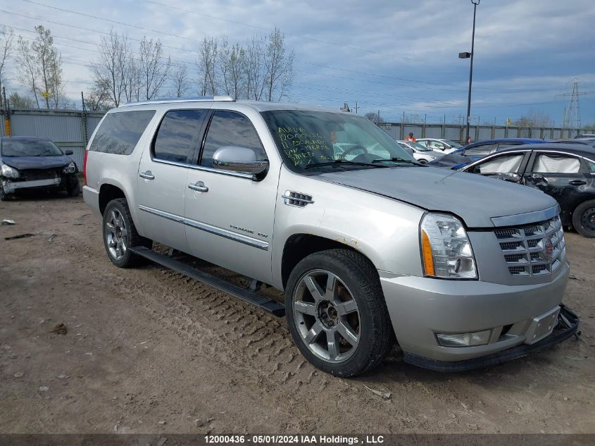 2011 Cadillac Escalade Esv VIN: 1GYS4JEF6BR126856 Lot: 12000436