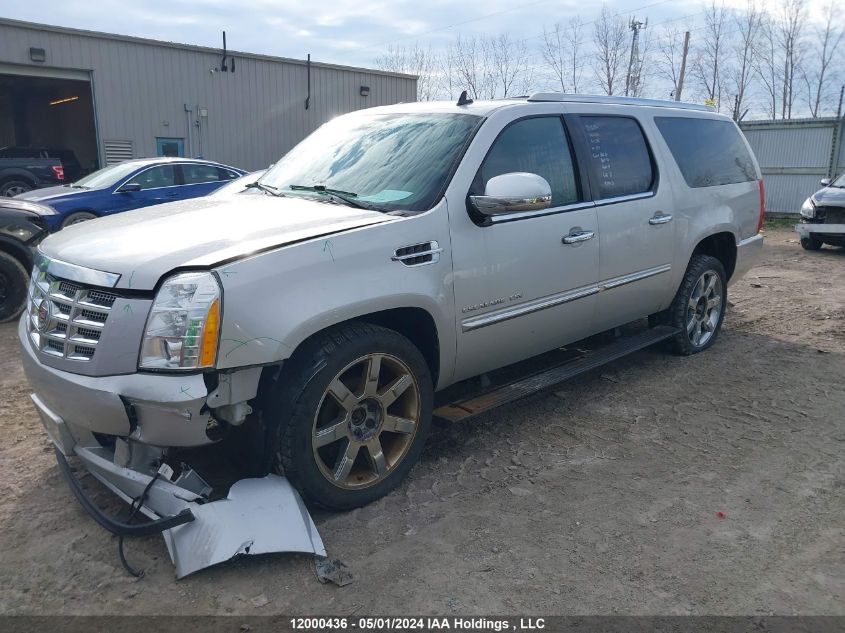 2011 Cadillac Escalade Esv VIN: 1GYS4JEF6BR126856 Lot: 12000436