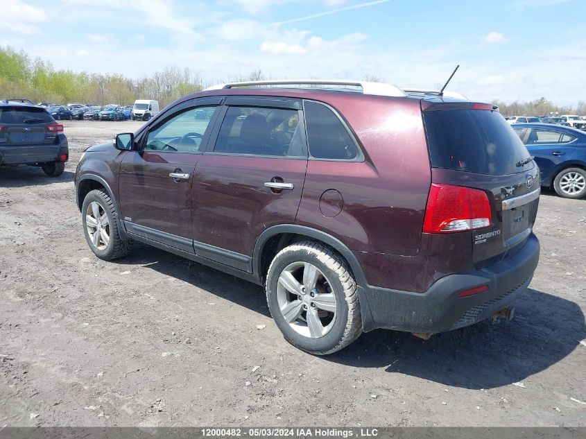 2012 Kia Sorento VIN: 5XYKUCA63CG236402 Lot: 12000482