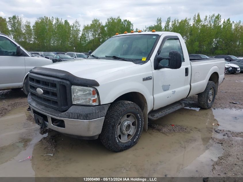 2005 Ford Super Duty F-250 VIN: 1FTNF21555EA93778 Lot: 12000490