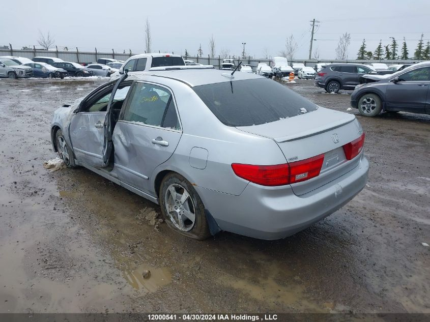 2005 Honda Accord Hybrid VIN: JHMCN36435C800595 Lot: 12000541