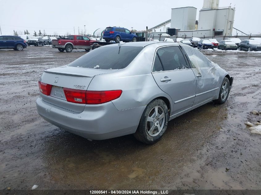 2005 Honda Accord Hybrid VIN: JHMCN36435C800595 Lot: 12000541