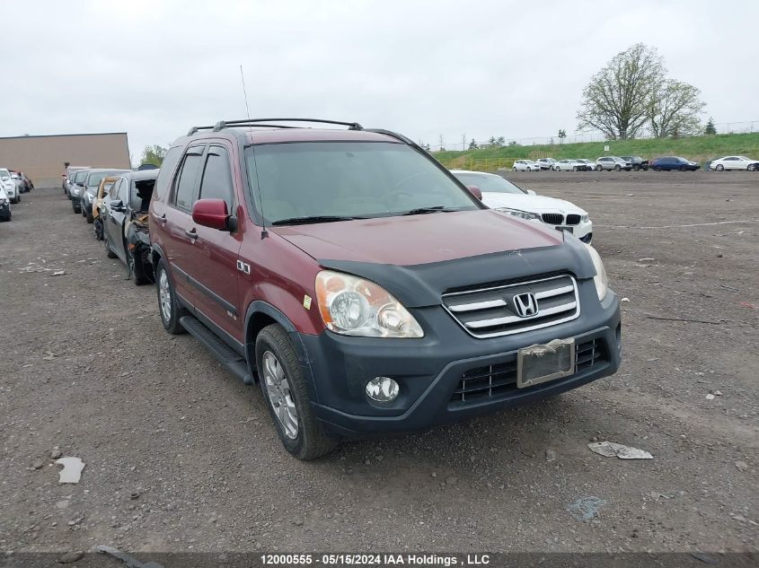 2005 Honda Cr-V VIN: JHLRD78865C805816 Lot: 12000555