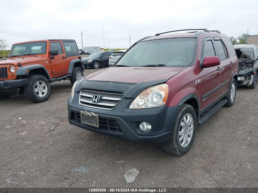 2005 Honda Cr-V VIN: JHLRD78865C805816 Lot: 12000555