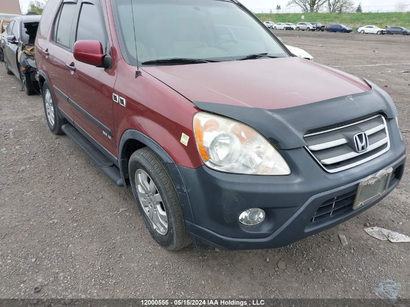 2005 Honda Cr-V VIN: JHLRD78865C805816 Lot: 12000555