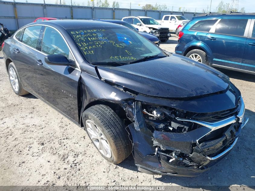 2023 Chevrolet Malibu VIN: 1G1ZD5ST4PF232570 Lot: 12000582