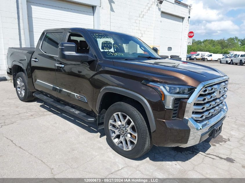 2022 Toyota Tundra Crewmax Platinum/Crewmax 1794 VIN: 5TFMA5DB8NX047539 Lot: 12000673