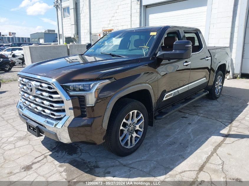 2022 Toyota Tundra Crewmax Platinum/Crewmax 1794 VIN: 5TFMA5DB8NX047539 Lot: 12000673