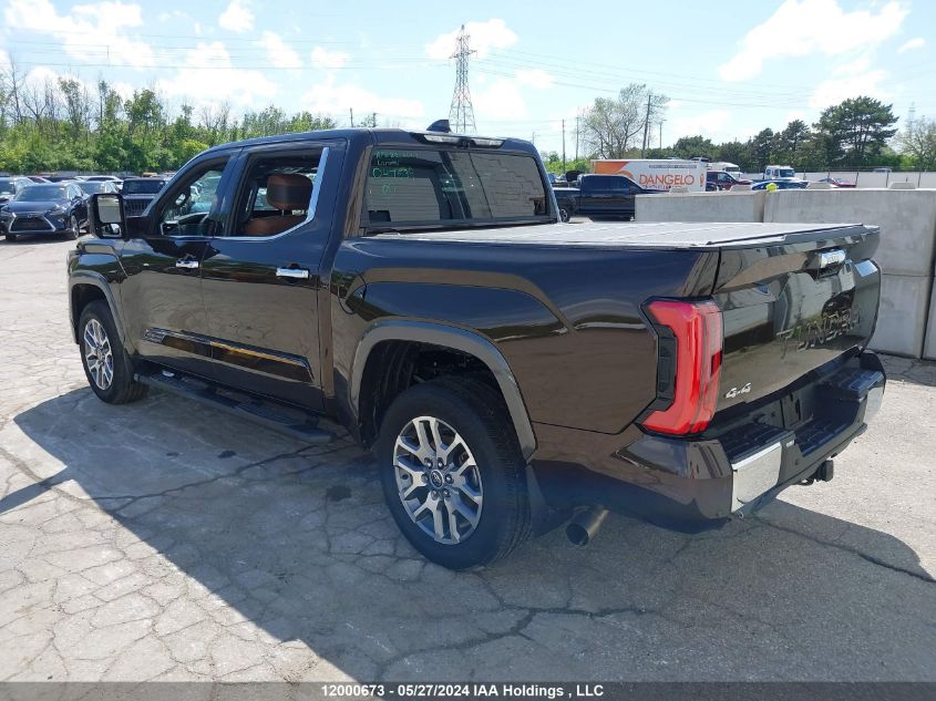 2022 Toyota Tundra Crewmax Platinum/Crewmax 1794 VIN: 5TFMA5DB8NX047539 Lot: 12000673