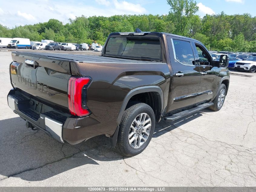 2022 Toyota Tundra Crewmax Platinum/Crewmax 1794 VIN: 5TFMA5DB8NX047539 Lot: 12000673