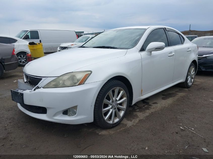 2009 Lexus Is 250 VIN: JTHCK262795029022 Lot: 12000683