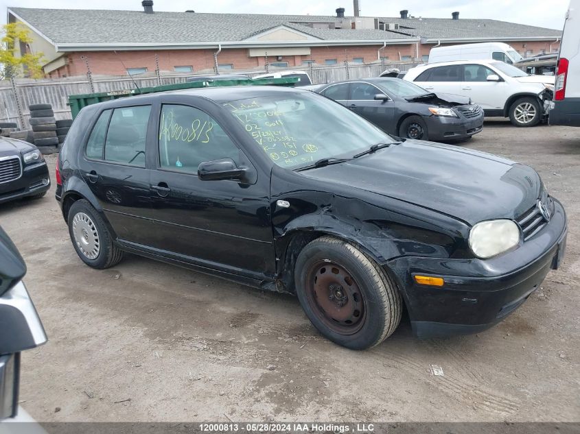 2002 Volkswagen Golf VIN: 9BWFK21J224063352 Lot: 12000813