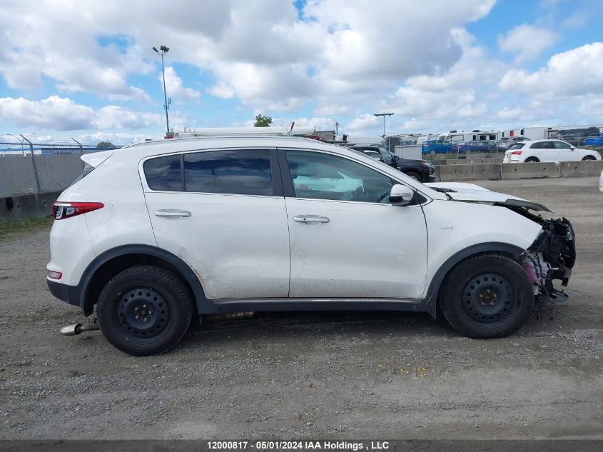 2017 Kia Sportage VIN: KNDPRCA64H7197976 Lot: 12000817