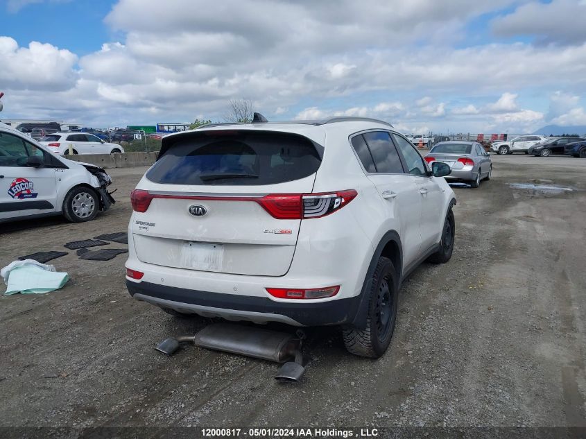 2017 Kia Sportage VIN: KNDPRCA64H7197976 Lot: 12000817