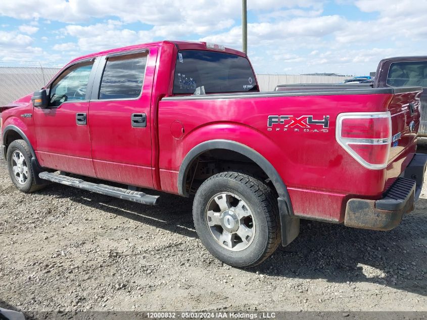 2010 Ford F150 Supercrew VIN: 1FTFW1EV0AFB89735 Lot: 12000832