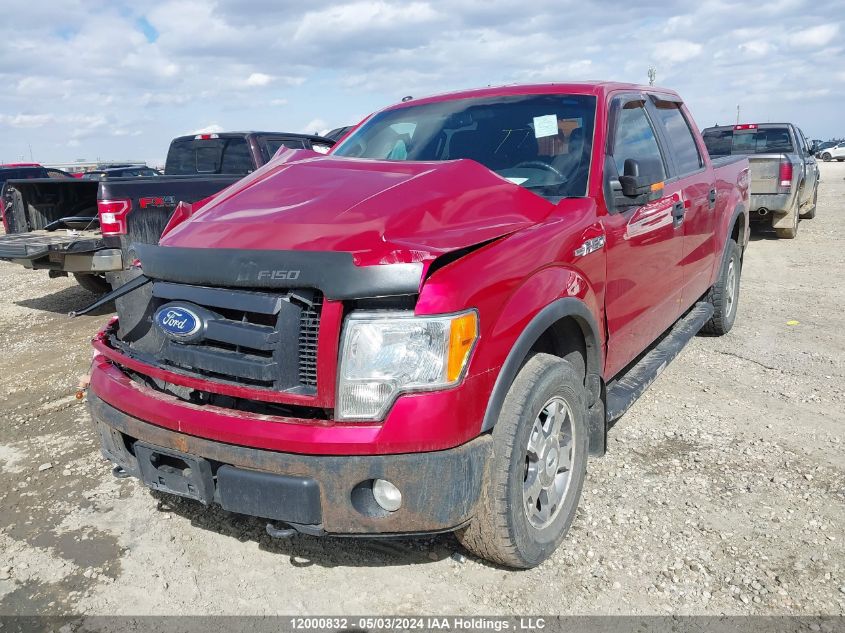 2010 Ford F150 Supercrew VIN: 1FTFW1EV0AFB89735 Lot: 12000832