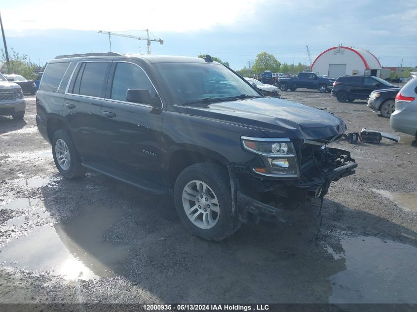 2019 Chevrolet Tahoe VIN: 1GNSKAKC1KR270568 Lot: 12000935