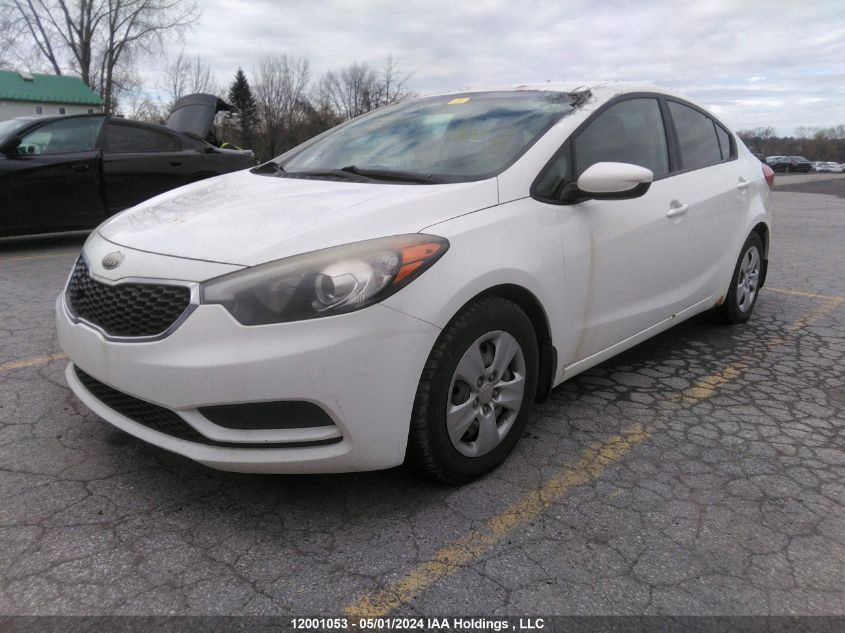 2014 Kia Forte Lx VIN: KNAFK4A67E5077034 Lot: 12001053