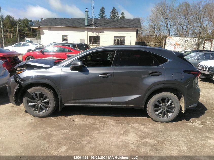 2021 Lexus Nx 300 VIN: JTJGARDZ0M2263623 Lot: 12001184