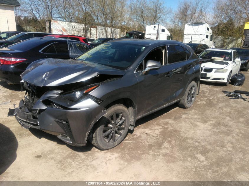 2021 Lexus Nx 300 VIN: JTJGARDZ0M2263623 Lot: 12001184