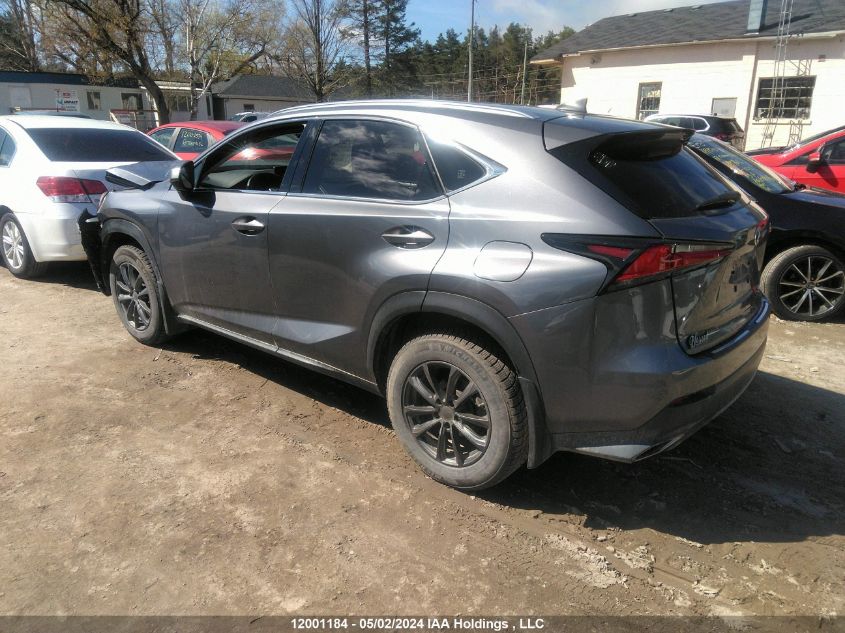 2021 Lexus Nx 300 VIN: JTJGARDZ0M2263623 Lot: 12001184