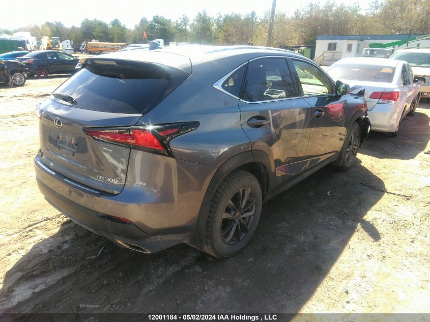 2021 Lexus Nx 300 VIN: JTJGARDZ0M2263623 Lot: 12001184