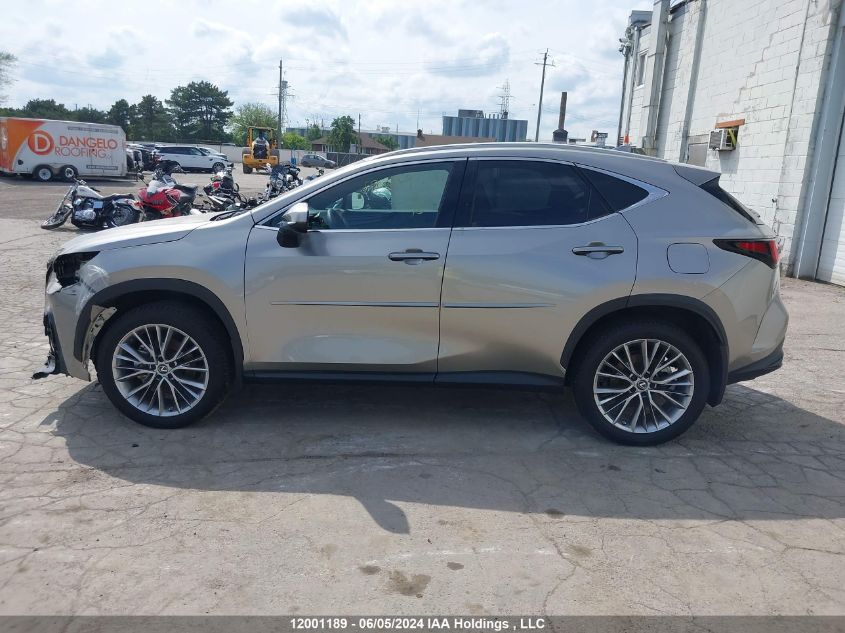 2022 Lexus Nx 350H VIN: 2T2GKCEZ4NC006264 Lot: 12001189