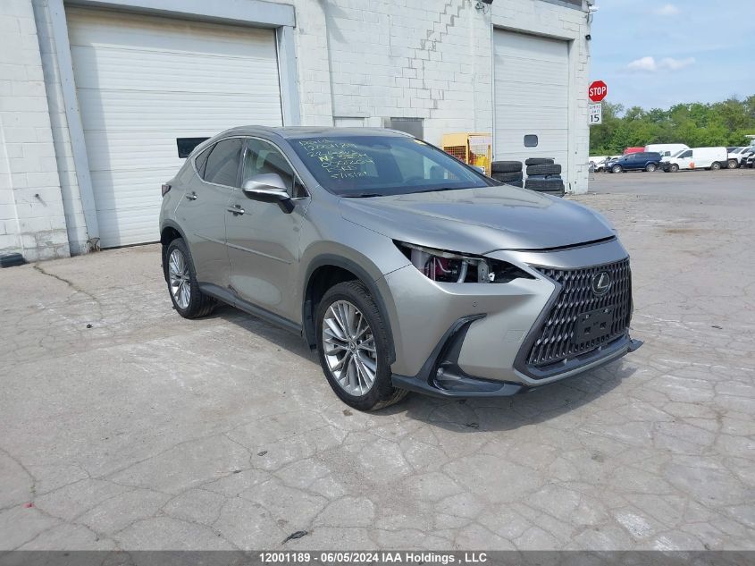 2022 Lexus Nx 350H VIN: 2T2GKCEZ4NC006264 Lot: 12001189