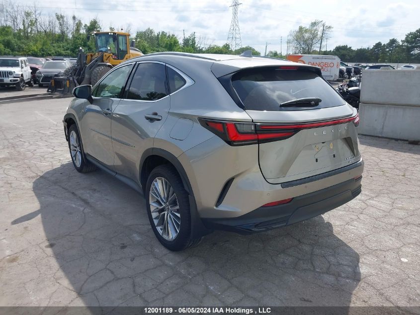 2022 Lexus Nx 350H VIN: 2T2GKCEZ4NC006264 Lot: 12001189