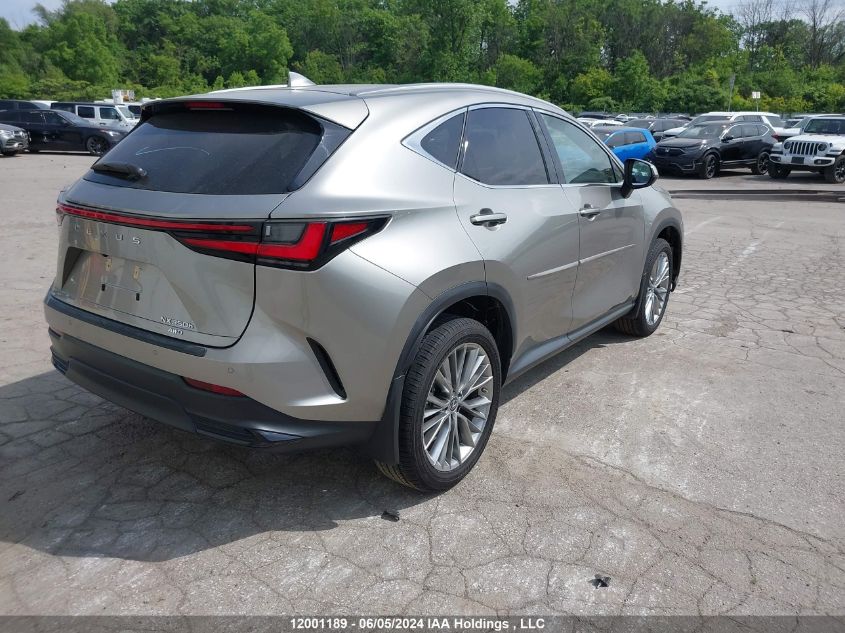 2022 Lexus Nx 350H VIN: 2T2GKCEZ4NC006264 Lot: 12001189