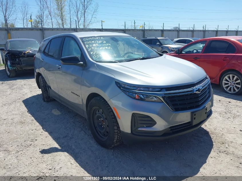 2023 Chevrolet Equinox VIN: 3GNAXHEG8PL216025 Lot: 12001303