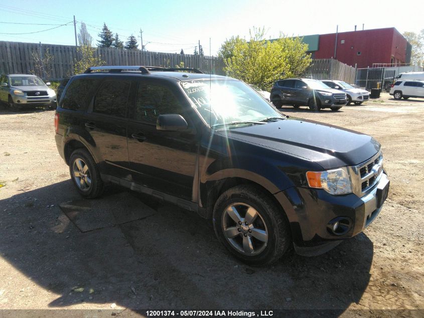 2011 Ford Escape Limited VIN: 1FMCU9EG7BKA00821 Lot: 12001374