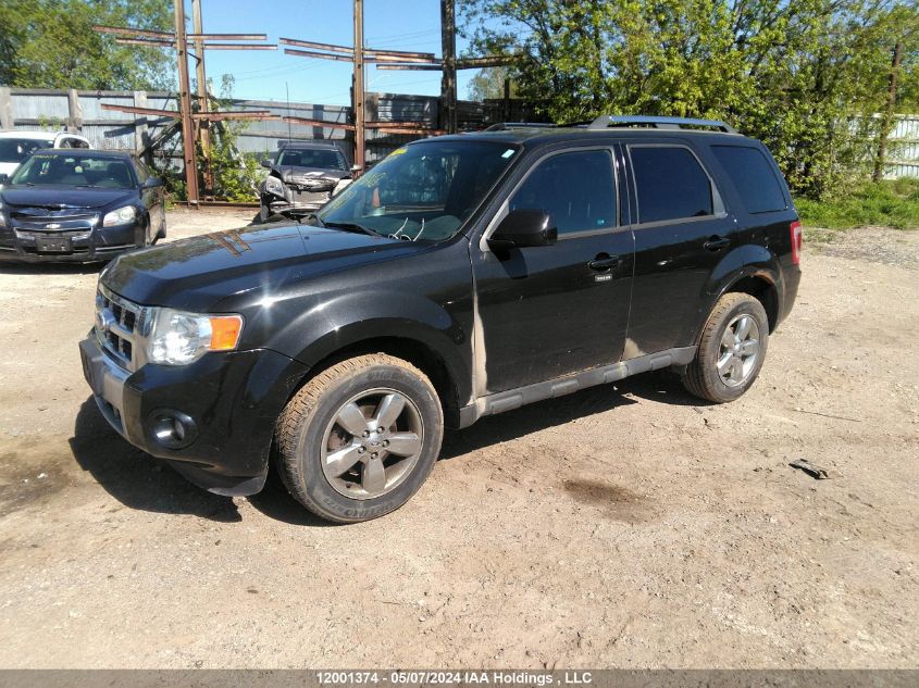 2011 Ford Escape Limited VIN: 1FMCU9EG7BKA00821 Lot: 12001374